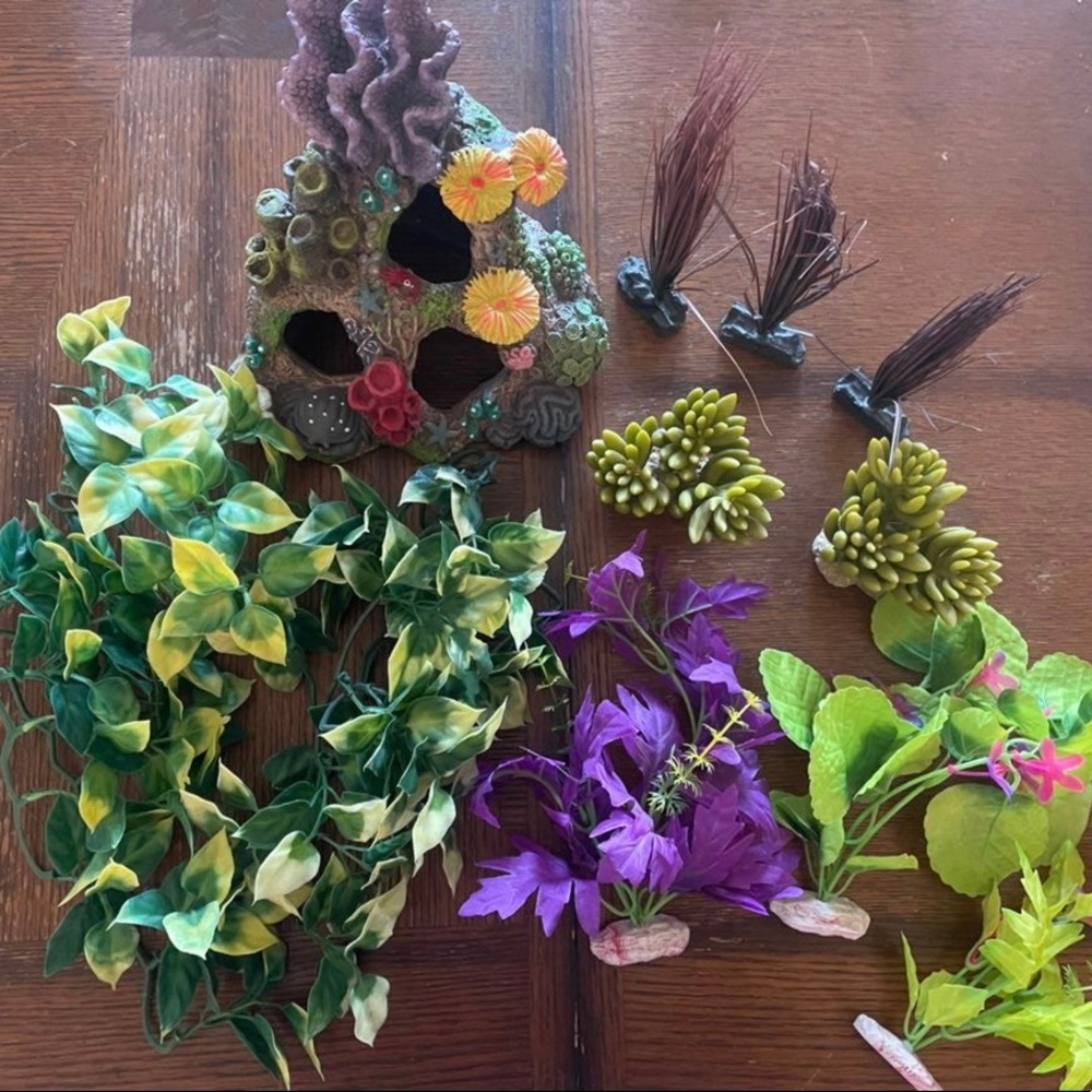 Aquarium Decor
